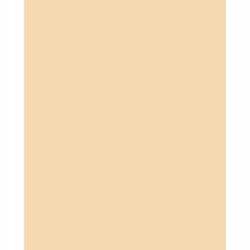 Viva La Diva VD40-21 fond de teint Tube Crème