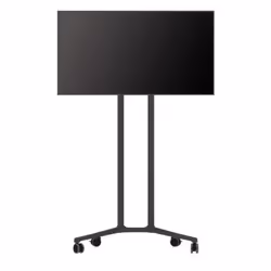 SMS Smart Media Solutions 130-001-2, 50 kg, 81,3 cm (32"), 190,5 cm (75")