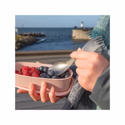 Light My Fire Spork Titanium ensembles de couverts pour le camping Tritan