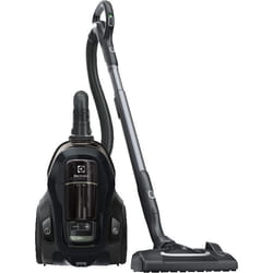 Electrolux PC91-GREEN Aspirateur réservoir cylindrique Sec 650 W Sans sac