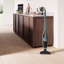 Electrolux WQ61-40OG aspirateur de table Vert Sans sac