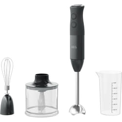 AEG HB4-1-6GG 0,6 L Mélangeur par immersion 600 W Noir