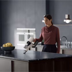 Electrolux AP81HB25SH Batterie Sec Sans sac Noir, Métallique, Blanc
