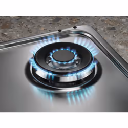Electrolux EGS64362X Acier inoxydable Comptoir 59.5 cm Gaz 4 zone(s)