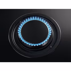 AEG CN071436DH Noir Intégré 60 cm Combi 4 zone(s)
