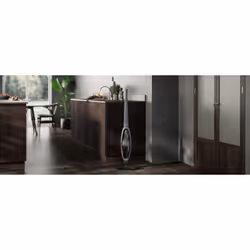 AEG AS52CB18DG Batterie Sec Sans sac 0,3 L 29 W Noir, Gris 2 Ah