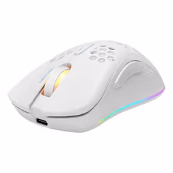 Deltaco GAM-120-W, Droitier, Laser, RF Wireless + USB Type-C, 6400 DPI, Blanc