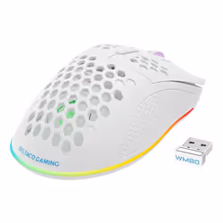 Deltaco GAM-120-W souris Droitier RF Wireless + USB Type-C Laser 6400 DPI