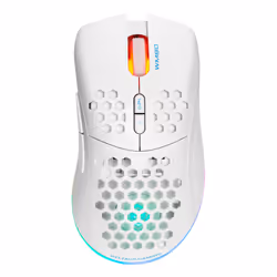 Deltaco GAM-120-W souris Droitier RF Wireless + USB Type-C Laser 6400 DPI