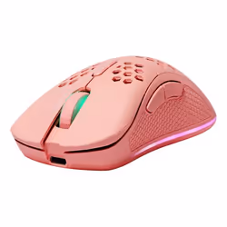 Deltaco GAM-120-P, Droitier, Laser, RF Wireless + USB Type-C, 4800 DPI, Rose