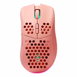 Deltaco GAM-120-P souris Droitier RF Wireless + USB Type-C Laser 4800 DPI