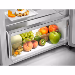 Electrolux LTB1AE28U0 réfrigérateur-congélateur Pose libre 244 L E Acier inoxydable - Vue supplémentaire 4