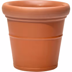 Donnez à votre maison, à votre jardin ou à votre terrasse une nouvelle allure avec de nouvelles plantes et le magnifique bac ...