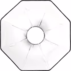 Profoto 101220