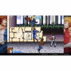 Arc System Works Double Dragon Collection Standard Nintendo Switch