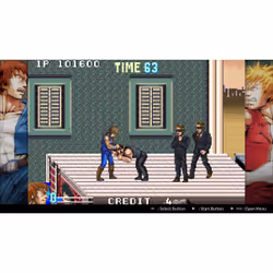 Arc System Works Double Dragon Collection Standard Nintendo Switch - Vue supplémentaire 7