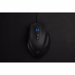 Mionix Naos Pro souris Droitier USB Type-A Optique 19000 DPI