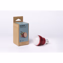 Venso EcoSolutions Winter energy-saving lamp 7 W E27