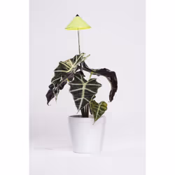 Venso EcoSolutions SUNLiTE Chrome, Vert 14 lampe(s) LED 7 W