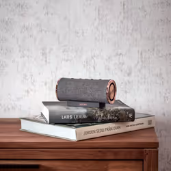 Sudio FEMTIO Enceinte portable stéréo Anthracite 20 W