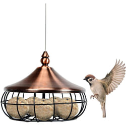 Costway - Mangeoire pour Oiseaux à Suspendre Distributeur de Nourriture Extérieur pour Boules de Graisse avec Fil Acier Grille en fer