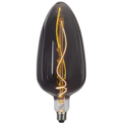 Star Trading 355-09 ampoule LED 4,5 W E27 G