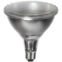 Lampe led E27 PAR38 Spotlight Outdoor, argentée, blanc neutre, extérieur, IP65 - Star Trading