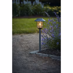 Star Trading 481-40 Éclairage au sol extérieur LED 0,064 W Graphite