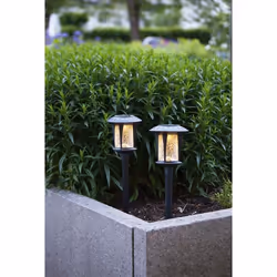 Star Trading 481-42 Éclairage au sol extérieur Ampoule(s) non remplaçable(s) LED 0,03 W Noir