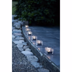 Star Trading 481-50 Éclairage de plancher extérieur Ampoule(s) non remplaçable(s) LED 0,03 W Transparent