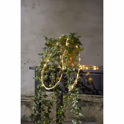 Star Trading 729-21 lumière décorative Guirlande lumineuse décorative Beige 40 lampe(s) LED