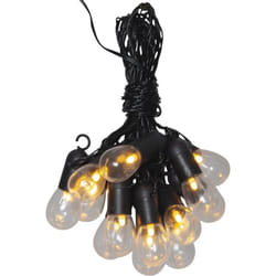 Star Trading 476-85 Guirlande lumineuse décorative Noir, Transparent 16 lampe(s) LED 0,72 W