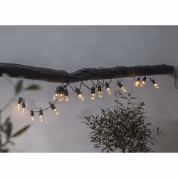 Star Trading 476-85 Guirlande lumineuse décorative Noir, Transparent 16 lampe(s) LED 0,72 W