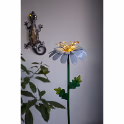 Star Trading Gecko Figurine lumineuse décorative Noir 10 lampe(s) LED 0,4 W