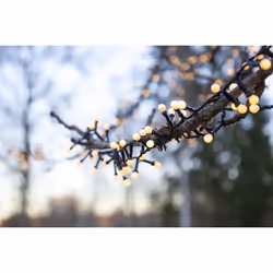 Star Trading Berry Mini Guirlande lumineuse décorative Noir 300 lampe(s) LED 3,6 W