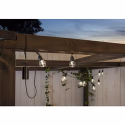 Star Trading Fiesta Guirlande lumineuse décorative Noir, Transparent 10 lampe(s) LED 0,6 W