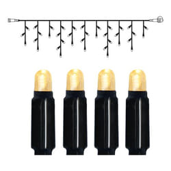 Star Trading 491-93-1 guirlande électrique 1,5 m 42 lampe(s) LED
