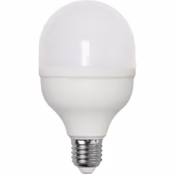 Star Trading 364-23 ampoule LED 20 W E27 D
