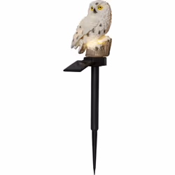 Star Trading 482-25, Figurine lumineuse décorative, Beige, 1 lampe(s), LED, 0,06 W, Batterie