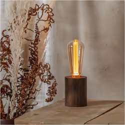 Star Trading 353-95 ampoule LED 2 W E27