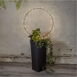 Star Trading 482-62 Figurine lumineuse décorative Noir 60 lampe(s) LED