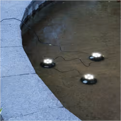 Star Trading 482-83 Lampes de fée Noir 18 lampe(s) LED 0,3 W