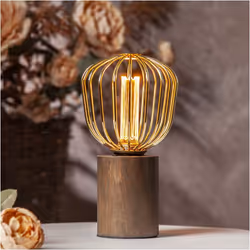 Star Trading 353-99 ampoule LED 4,3 W E27