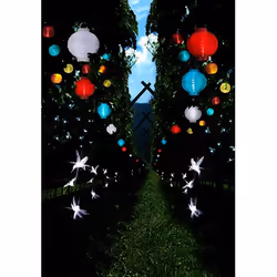 Star Trading 477-14 lumière décorative Multicolore 10 lampe(s) LED 0,65 W