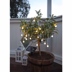 Star Trading 477-58 Éclairage de mural/de plafond extérieur Ampoule(s) non remplaçable(s) LED 0,064 W Blanc