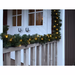 Star Trading Ottawa Guirlande lumineuse décorative Vert 60 lampe(s) LED 1,08 W
