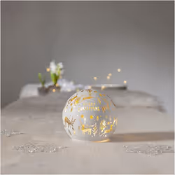 Star Trading 460-31 Figurine lumineuse décorative Argent, Blanc 8 lampe(s) LED 0,27 W