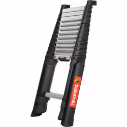 Telesteps 72226-541