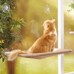 Hamac de fenêtre pour Chat, lit de fenêtre avec Ventouse