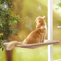 Hamac de fenêtre pour Chat, lit de fenêtre avec Ventouse